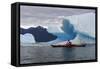 Sea Kayaking Among Icebergs, Laguna San Rafael NP, Aysen, Chile-Fredrik Norrsell-Framed Stretched Canvas