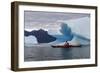 Sea Kayaking Among Icebergs, Laguna San Rafael NP, Aysen, Chile-Fredrik Norrsell-Framed Photographic Print