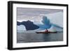 Sea Kayaking Among Icebergs, Laguna San Rafael NP, Aysen, Chile-Fredrik Norrsell-Framed Photographic Print