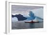 Sea Kayaking Among Icebergs, Laguna San Rafael NP, Aysen, Chile-Fredrik Norrsell-Framed Photographic Print