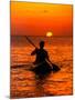 Sea Kayaking at Sunset, Bahama Out Islands, Bahamas-Greg Johnston-Mounted Premium Photographic Print