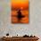 Sea Kayaking at Sunset, Bahama Out Islands, Bahamas-Greg Johnston-Premium Photographic Print displayed on a wall