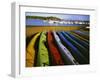 Sea Kayaks, Fisherman Bay, Lopez Island, Washington, USA-Charles Gurche-Framed Premium Photographic Print