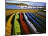 Sea Kayaks, Fisherman Bay, Lopez Island, Washington, USA-Charles Gurche-Mounted Premium Photographic Print