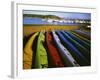 Sea Kayaks, Fisherman Bay, Lopez Island, Washington, USA-Charles Gurche-Framed Photographic Print