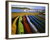 Sea Kayaks, Fisherman Bay, Lopez Island, Washington, USA-Charles Gurche-Framed Photographic Print