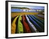 Sea Kayaks, Fisherman Bay, Lopez Island, Washington, USA-Charles Gurche-Framed Photographic Print