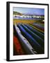 Sea Kayaks, Fisherman Bay, Lopez Island, Washington, USA-Charles Gurche-Framed Premium Photographic Print