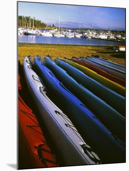 Sea Kayaks, Fisherman Bay, Lopez Island, Washington, USA-Charles Gurche-Mounted Premium Photographic Print