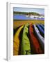 Sea Kayaks, Fisherman Bay, Lopez Island, Washington, USA-Charles Gurche-Framed Photographic Print