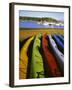 Sea Kayaks, Fisherman Bay, Lopez Island, Washington, USA-Charles Gurche-Framed Photographic Print