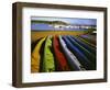 Sea Kayaks, Fisherman Bay, Lopez Island, Washington, USA-Charles Gurche-Framed Photographic Print