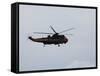 Sea King Helicopter of the Belgian Army in Flight-Stocktrek Images-Framed Stretched Canvas