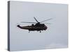 Sea King Helicopter of the Belgian Army in Flight-Stocktrek Images-Stretched Canvas