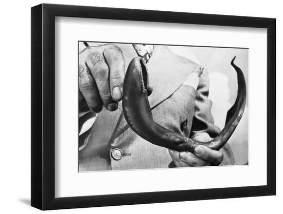 Photographic Print, , large
