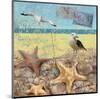 Sea Life 01-Rick Novak-Mounted Art Print