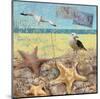 Sea Life 01-Rick Novak-Mounted Art Print