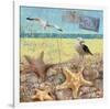 Sea Life 01-Rick Novak-Framed Art Print