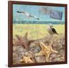 Sea Life 01-Rick Novak-Framed Art Print