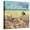 Sea Life 01-Rick Novak-Stretched Canvas