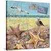 Sea Life 01-Rick Novak-Stretched Canvas