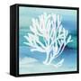 Sea Life Coral I-Lisa Audit-Framed Stretched Canvas