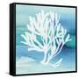 Sea Life Coral I-Lisa Audit-Framed Stretched Canvas