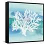 Sea Life Coral II-Lisa Audit-Framed Stretched Canvas