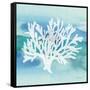 Sea Life Coral II-Lisa Audit-Framed Stretched Canvas