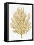Sea Life - Gold on White V-Melonie Miller-Framed Stretched Canvas