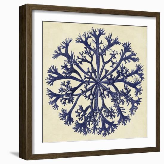 Sea Life I-null-Framed Art Print