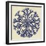 Sea Life I-null-Framed Art Print