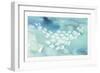 Sea Life II-Lisa Audit-Framed Art Print