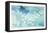 Sea Life II-Lisa Audit-Framed Stretched Canvas