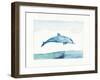 Sea Life III-Lisa Audit-Framed Art Print