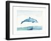 Sea Life III-Lisa Audit-Framed Art Print