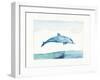 Sea Life III-Lisa Audit-Framed Art Print