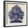 Sea Life III-null-Framed Art Print