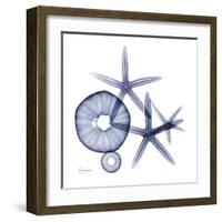 Sea Life in Blue II-Albert Koetsier-Framed Art Print