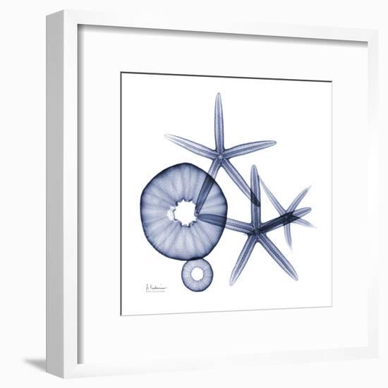 Sea Life in Blue II-Albert Koetsier-Framed Art Print