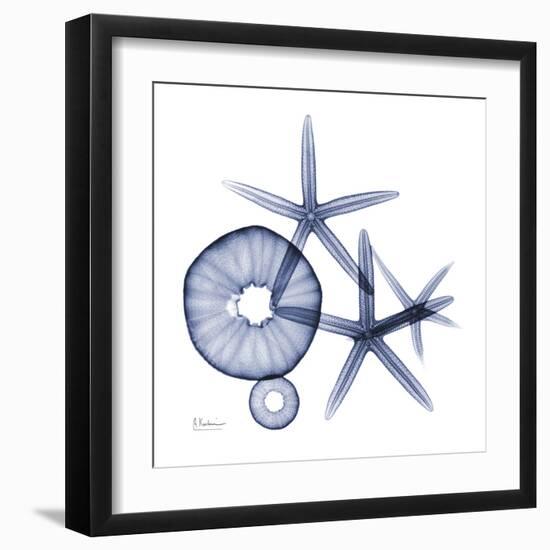 Sea Life in Blue II-Albert Koetsier-Framed Art Print