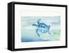 Sea Life IV-Lisa Audit-Framed Stretched Canvas