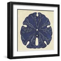 Sea Life IV-null-Framed Art Print