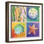 Sea Life Panel II-Scott Westmoreland-Framed Art Print