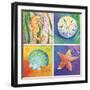 Sea Life Panel II-Scott Westmoreland-Framed Art Print