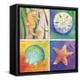 Sea Life Panel II-Scott Westmoreland-Framed Stretched Canvas