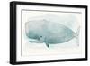 Sea Life V-Sara Zieve-Framed Art Print