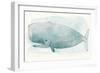 Sea Life V-Sara Zieve-Framed Art Print
