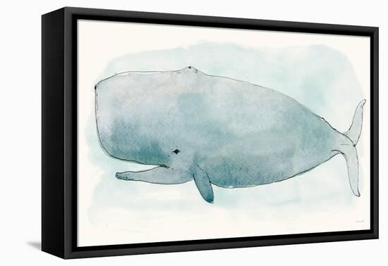 Sea Life V-Sara Zieve-Framed Stretched Canvas