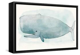 Sea Life V-Sara Zieve-Framed Stretched Canvas